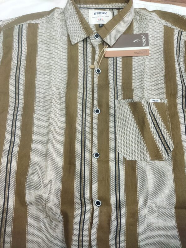 Men's Striped Casual Shirt in Beige & Olive Tones